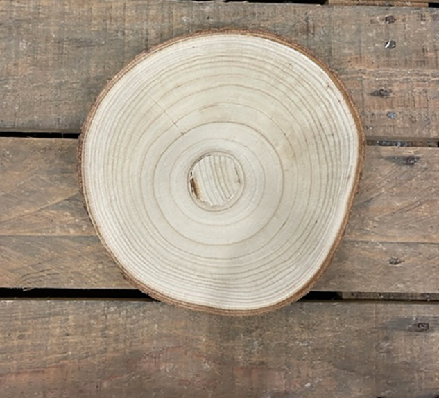 DISCO LEGNO C/CORTECCIA D24 H25CM.