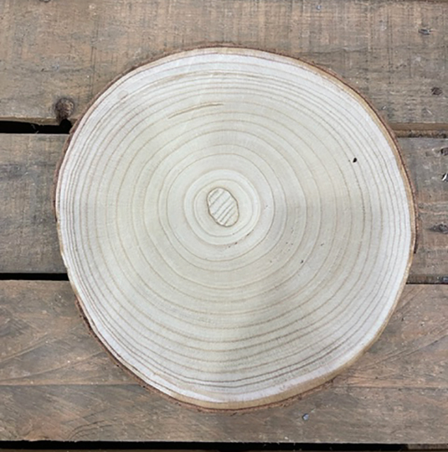 DISCO LEGNO C/CORTECCIA D30 H25CM.