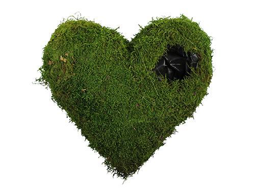 CUORE PORTAFIORI D30CM. MUSCHIO