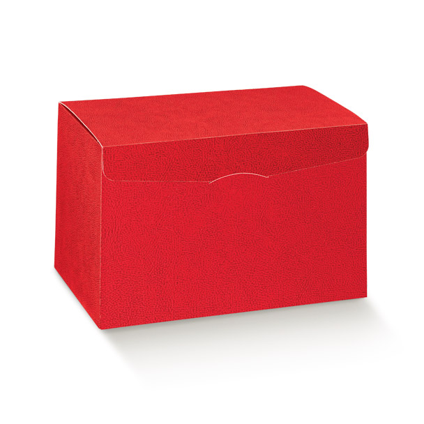 SEGRETO 40X28X25CM. PELLE ROSSO