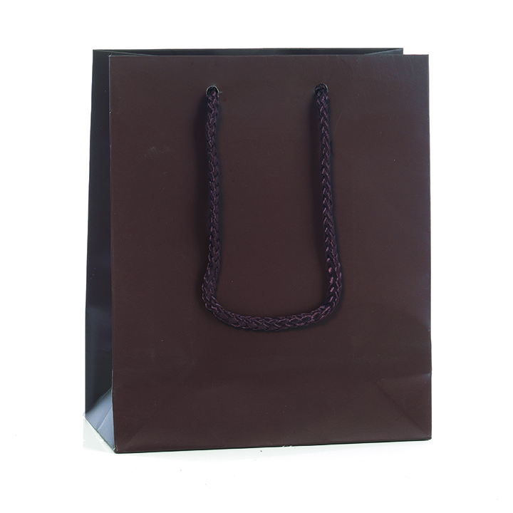 SHOPP.BAGS 16X19+8 12PZ. T.U.MR