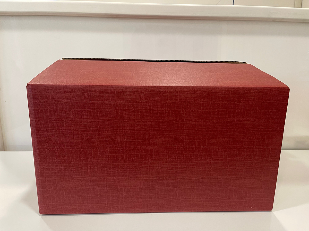 SC.AMERICA 45X34X 24CM. SETA BORDO'
