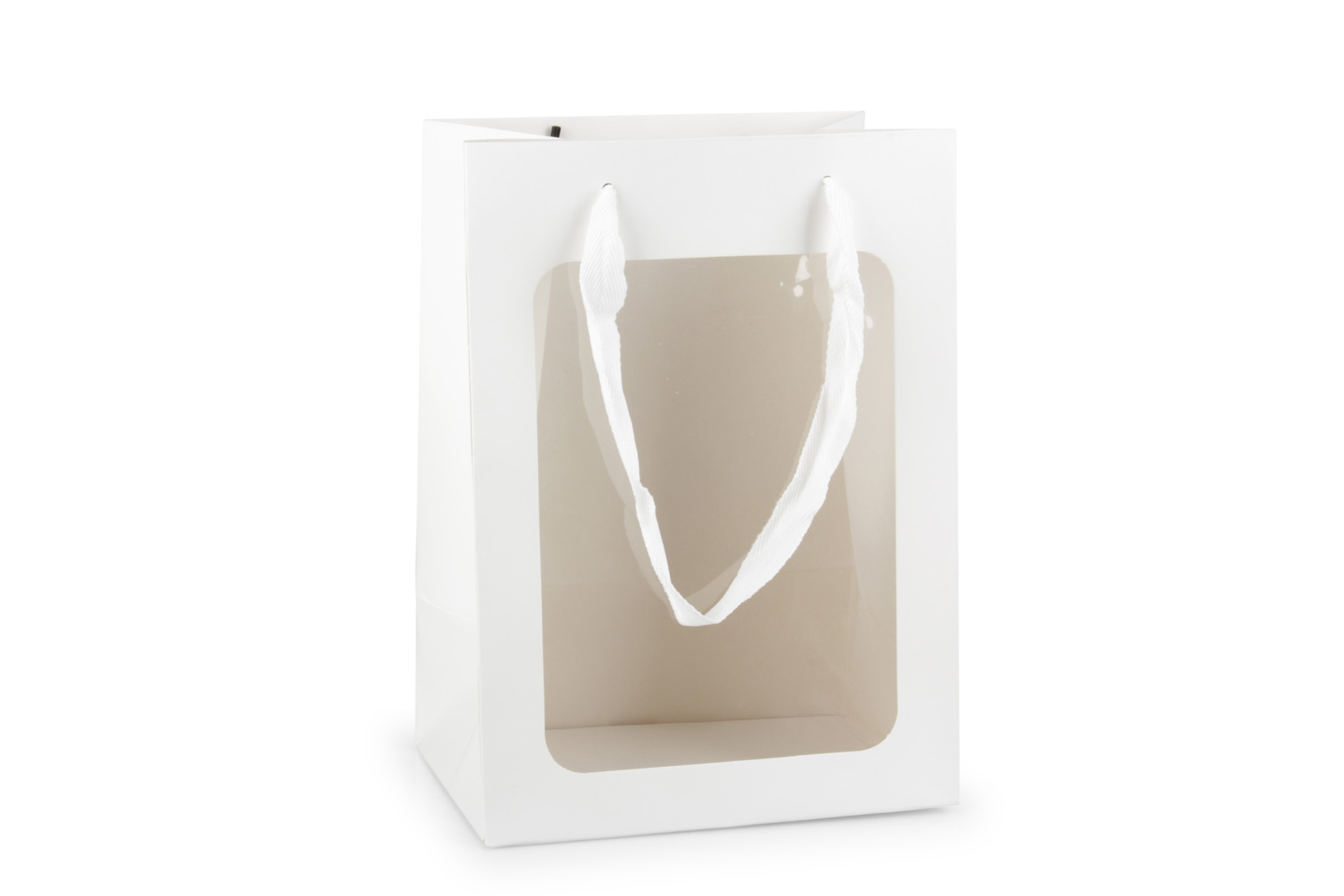 SHOPP.CARTA C/FINES. 16PZ. 18X13 H25CM. WHT