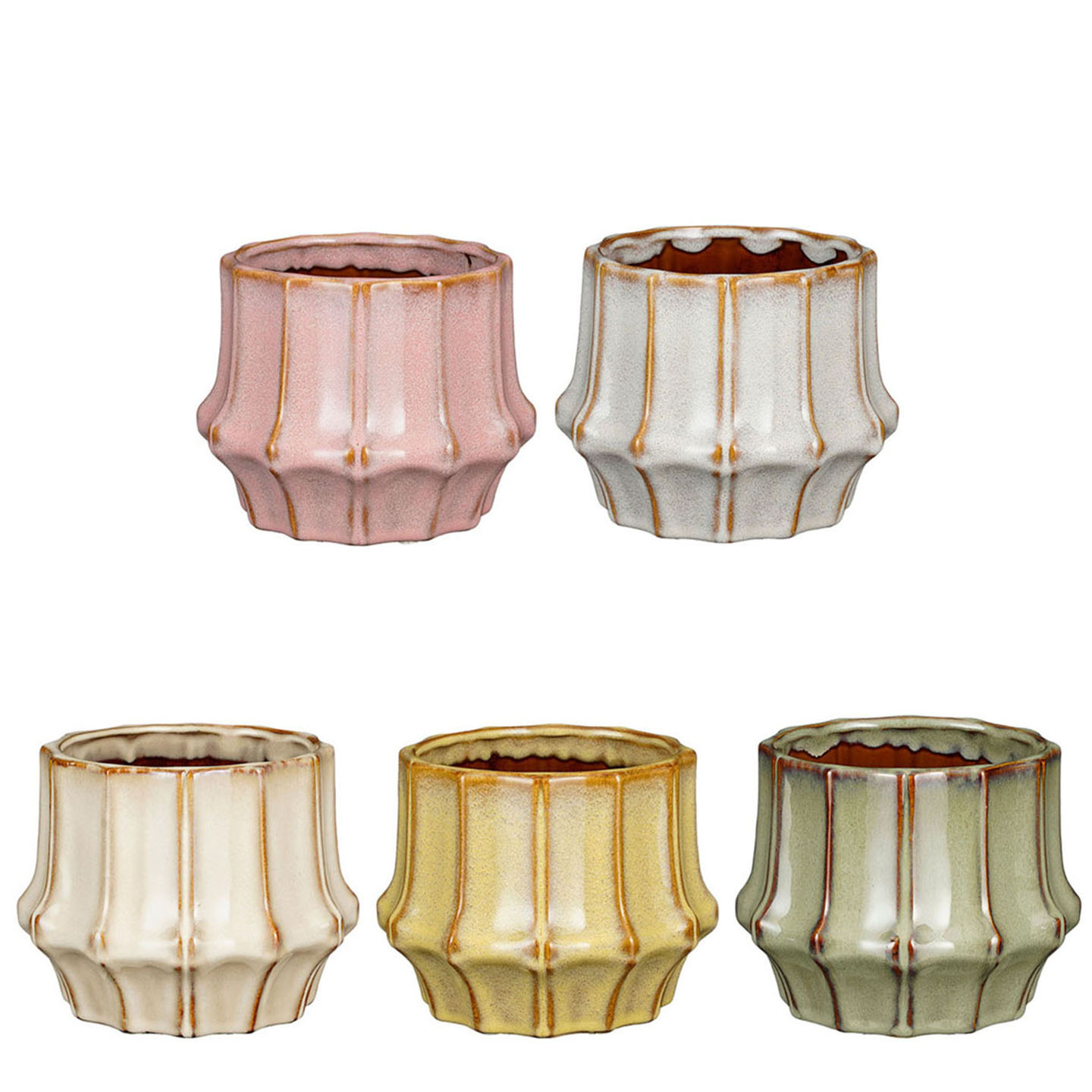 VASO SANN. D14 H13CM. 5PZ.COL.ASS