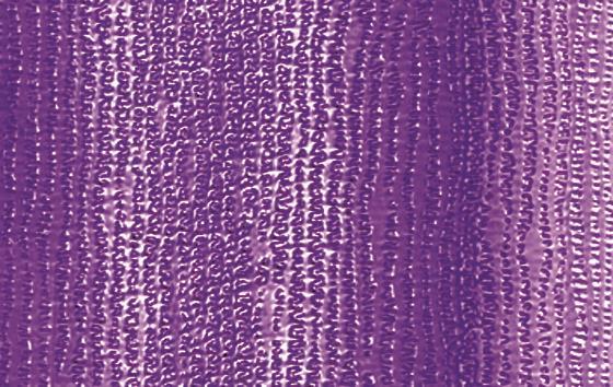 STARM.ROCCH.WAVE 10MM.250MT.VIOLA