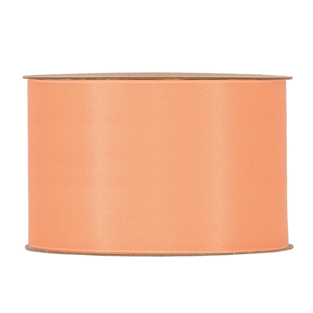 NASTRO PET RECYC. 40MM 20MT. PESCA