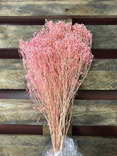 BROOM BLOOMS 100GR. ROSA BABY