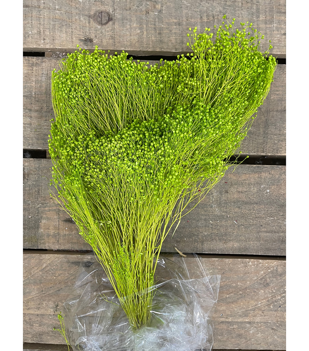 BROOM BLOOMS 100GR. VERDE MELA