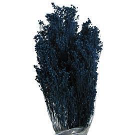 BROOM BLOOMS 100GR.BLU