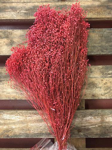 BROOM BLOOMS 100GR. CORAL/ROSA ANT.