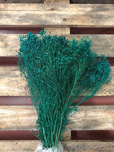 BROOM BLOOMS 100GR. VERDE OTTANIO