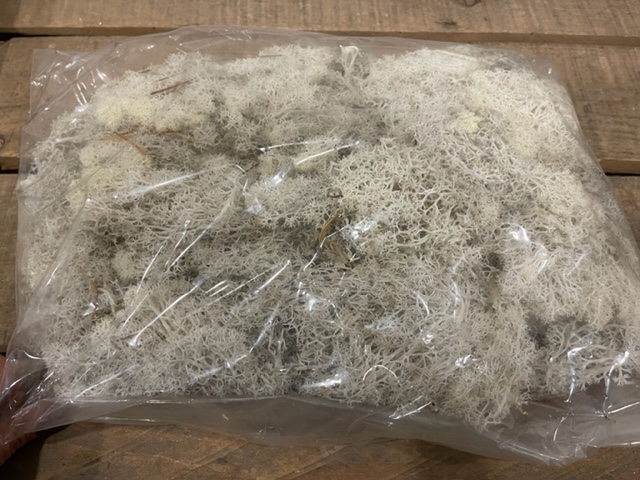 MUSCHIO NORDICO 500GR. BIANCO