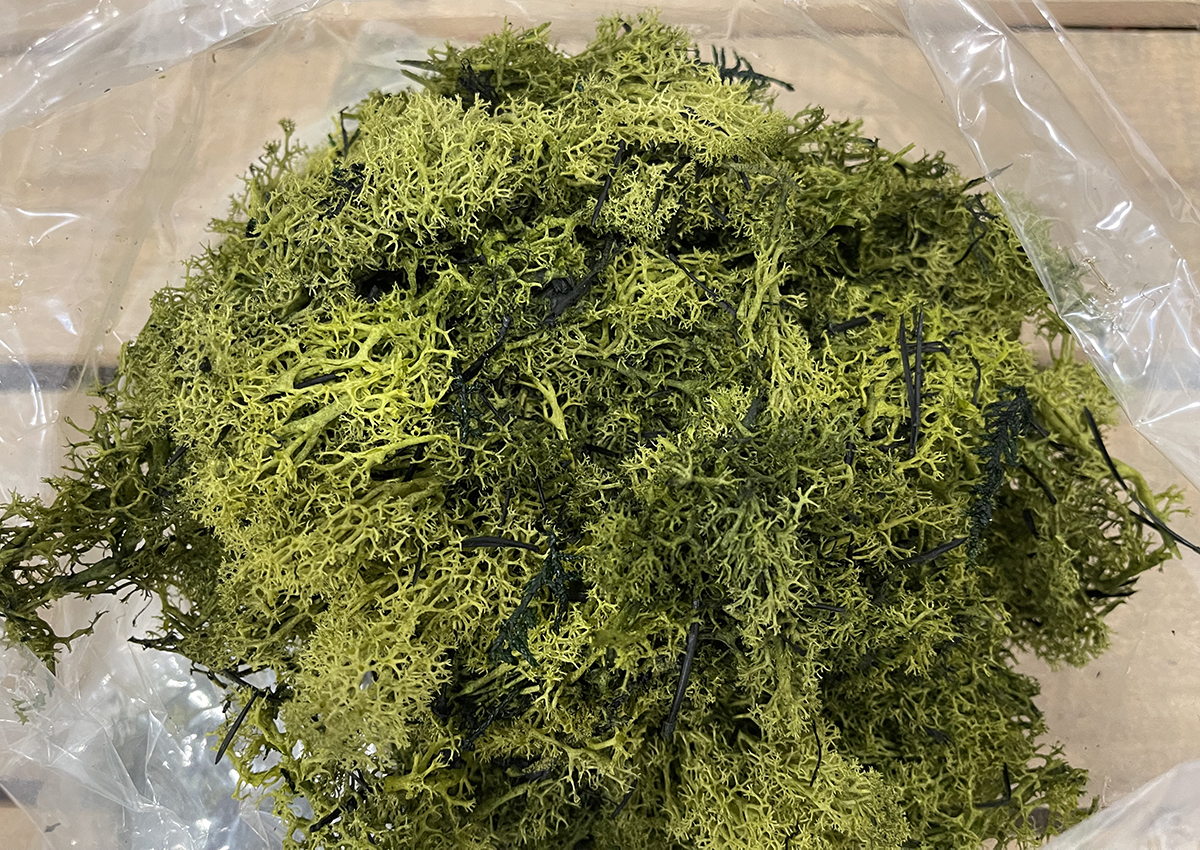 MUSCHIO NORDICO 500GR. VERDE OLIVA