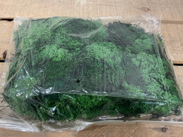 MUSCHIO NORDICO 500GR. VERDE SCURO