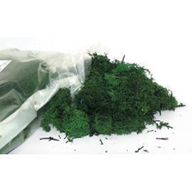 MUSCHIO NORDICO 500GR. VERDE MUSCHIO