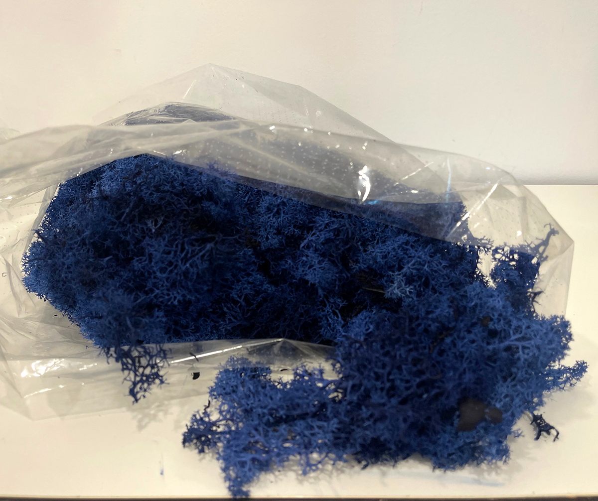 MUSCHIO NORDICO 500GR. BLU