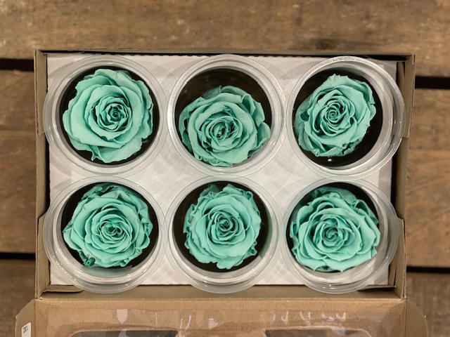 ROSE STABILIZZ.6PZ. XL TIFFANY BLU-02 ---NETTO-----------