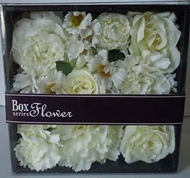 ROSE/DAISY/CARNAT. BOX 12PZ.WH.