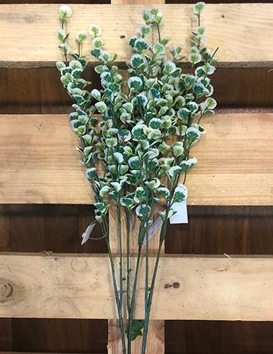 LVS SPRAY VARIEGATO