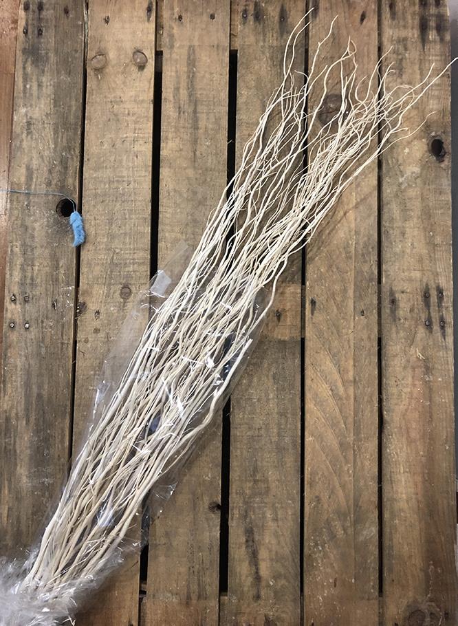 SALIX H.120CM. 15PZ. BLEACHED