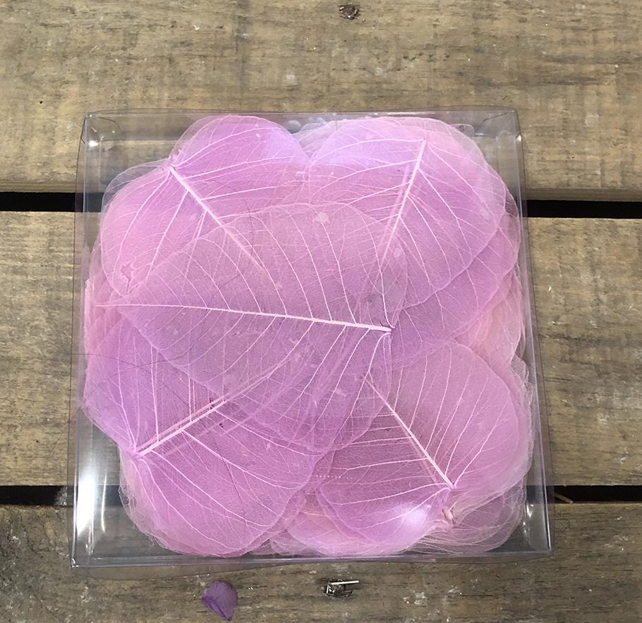 SKELETON BAYAN 200PZ. ROSA