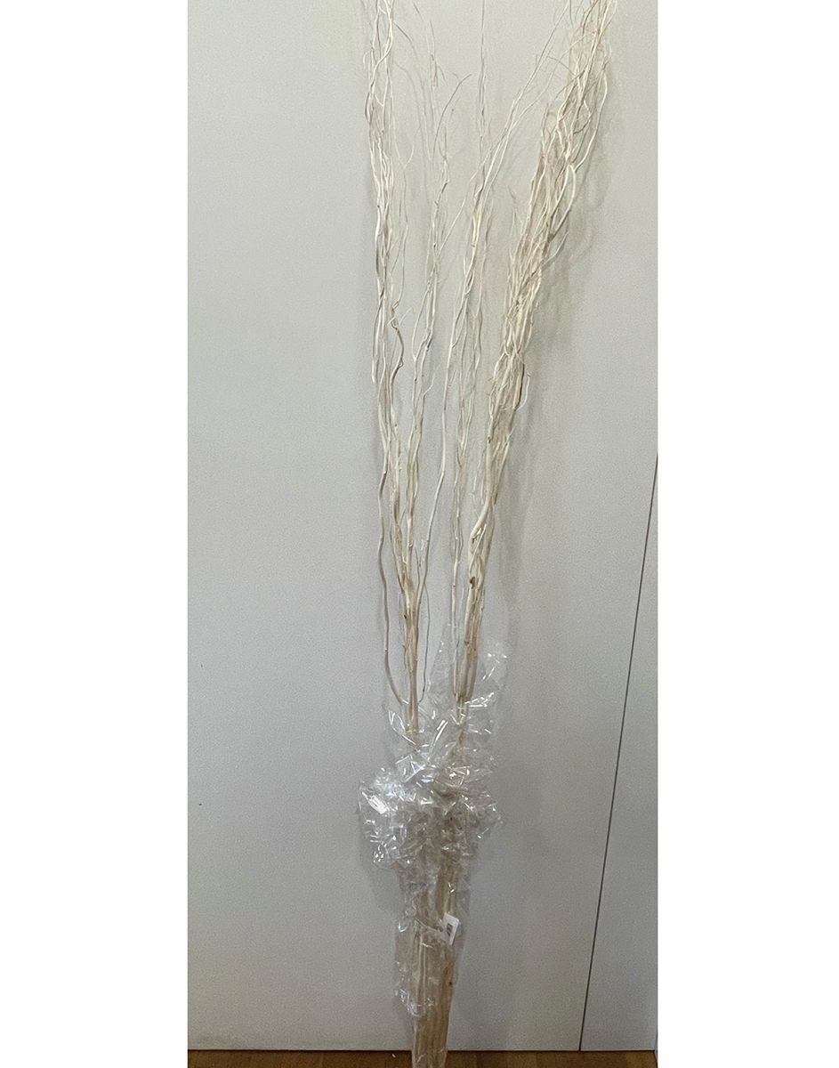 SALIX JAP H.200CM. 10PZ. BLEACHED