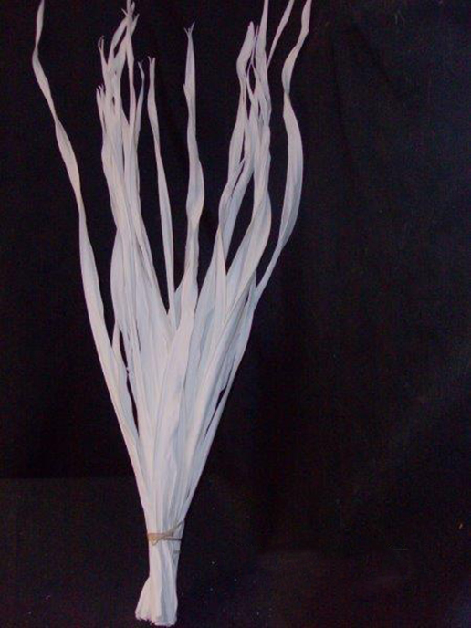 LONG PALM LEAVES 15PZ. 110CM. BIANCO