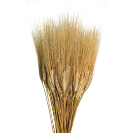 SPIGHE X100 BAFFO B.NATURALE