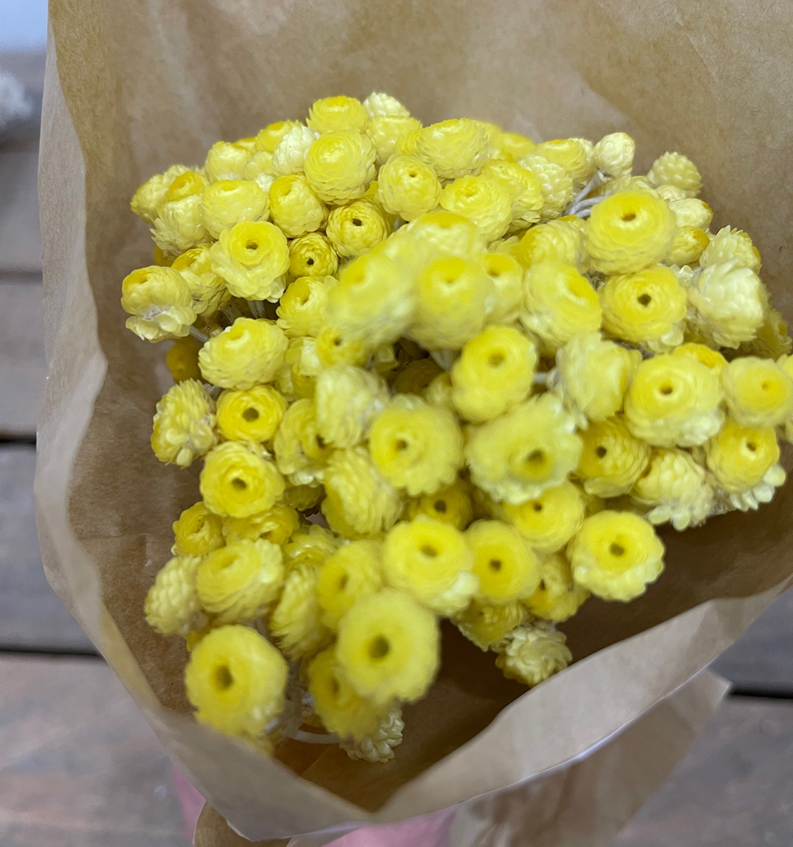 IMMORTELLEN INCARTATO 50GR. 33CM. GIALLO