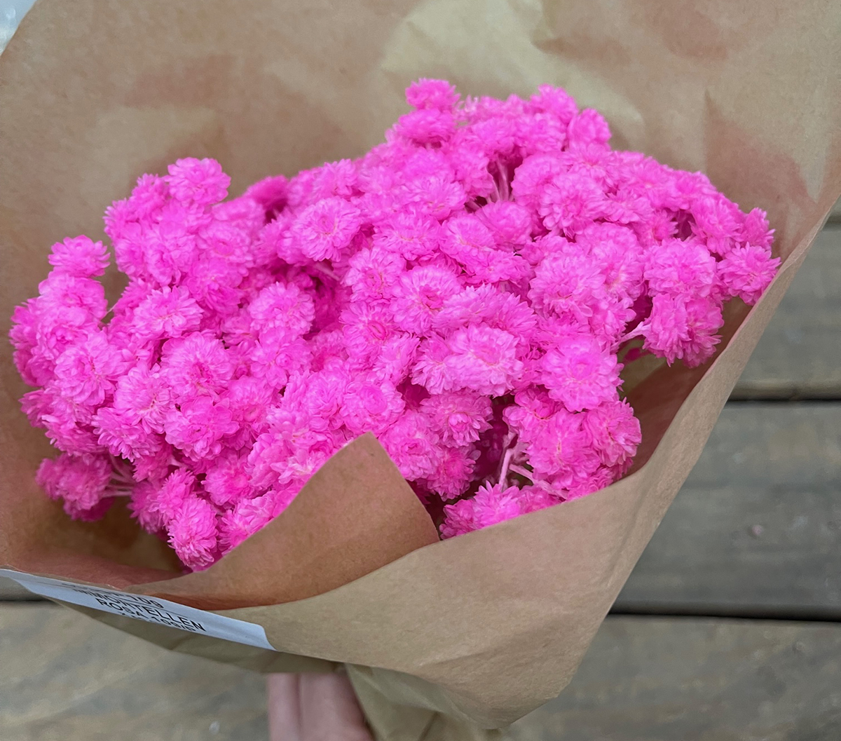 IMMORTELLEN INCARTATO 50GR. 33CM. ROSA