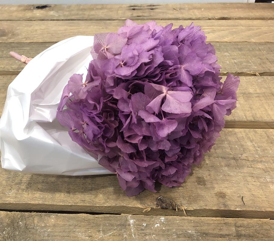 HYDRANGEA PRES. H30/35CM. FRESIA