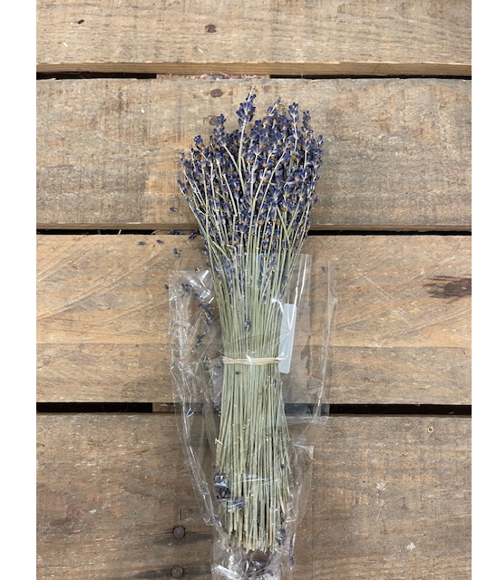 LAVANDA PRES.NAT. 70-80GR. EXTRA BLUE