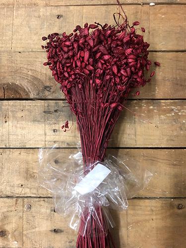 BRIZA MAXIMA 100GR. BORDEAUX