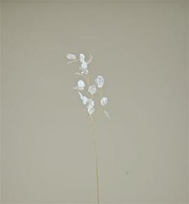 RAMO LUNARIA 105CM. WHITE