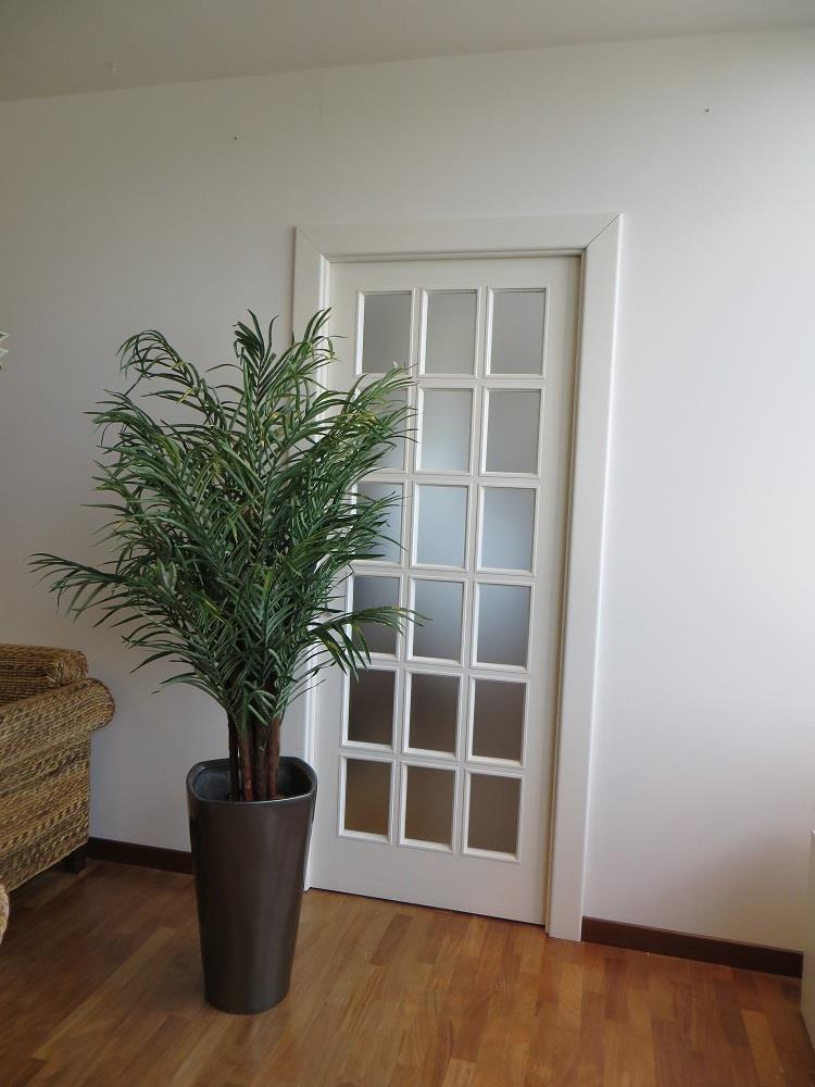 PIANTA COCCO PALM H.150CM.