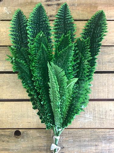 BOSTON FERN BUSH 60CM. GREEN