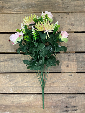 BUSH ROSE E MUM X18 57CM. GREEN PINK