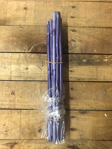 CANNA 40CM. 20PZ. FRESIA