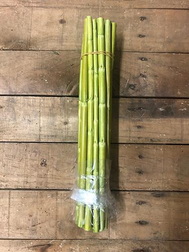 CANNA 40CM. 20PZ. LIME
