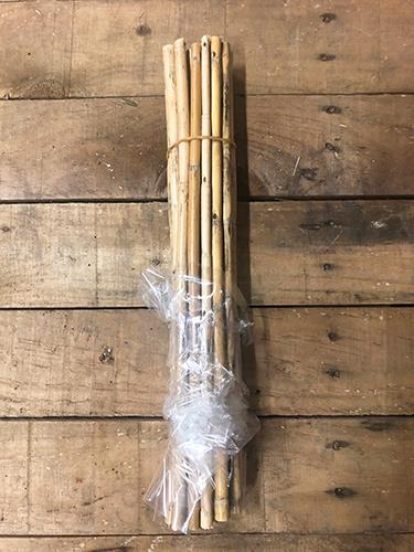 CANNA 40CM. 20PZ. NATURALE