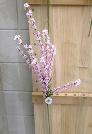 BUSH GINESTRA 80CM. LT LILAC