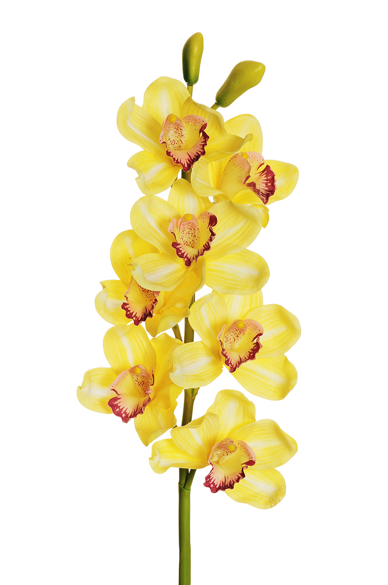CYMBIDIUM SPRAY 7FIORI REAL TOUCH 77CM. GIALLO