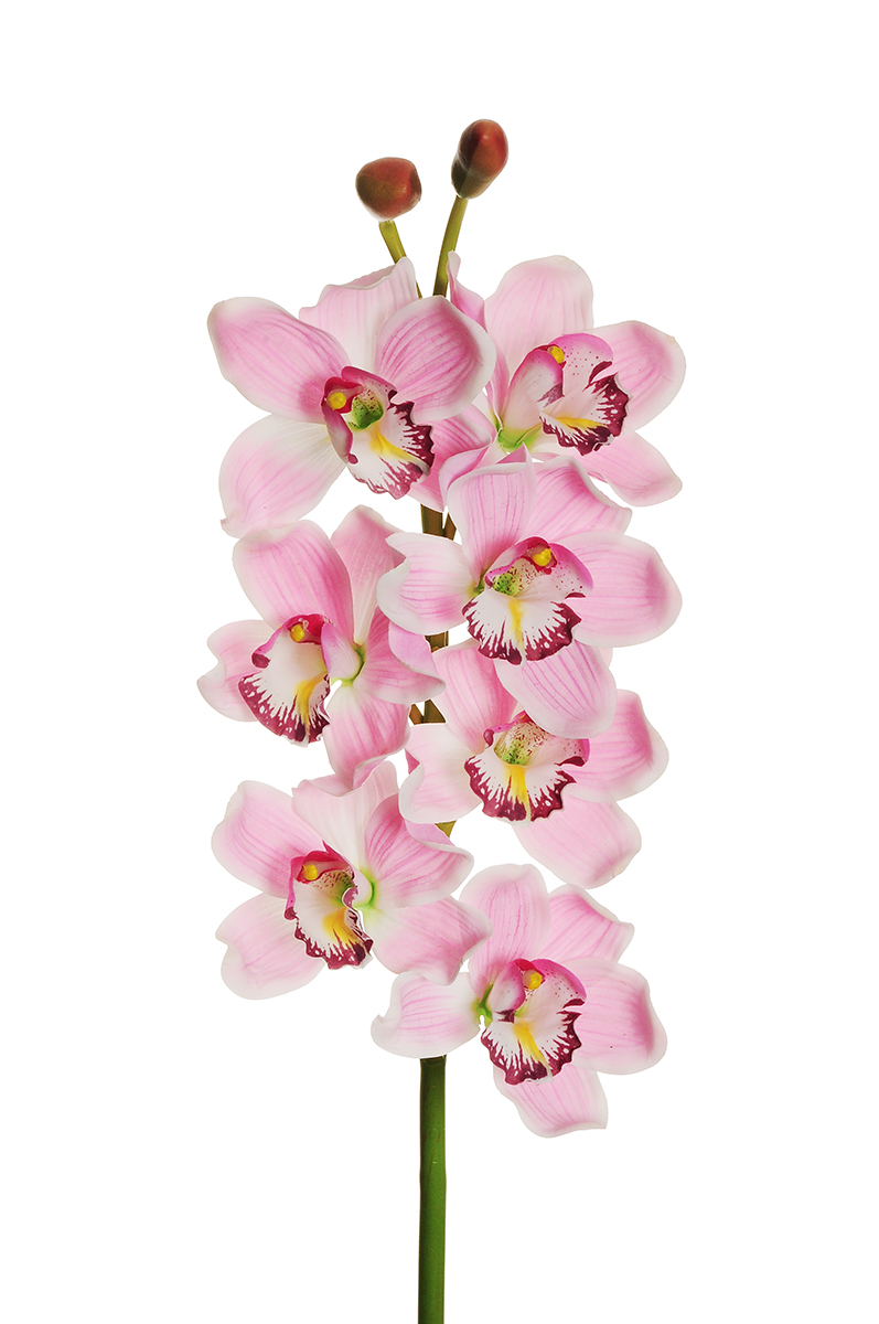 CYMBIDIUM SPRAY 7FIORI REAL TOUCH 77CM. ROSA CH.