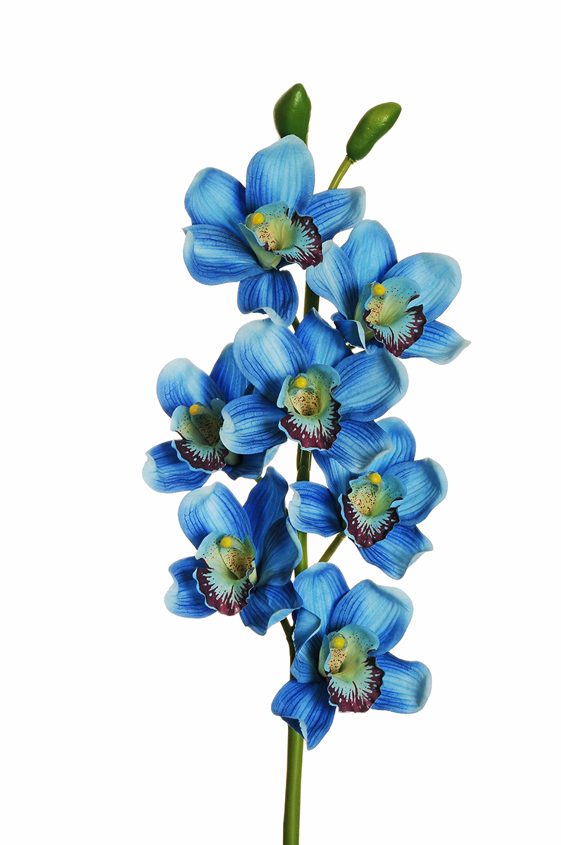 CYMBIDIUM SPRAY 7FIORI REAL TOUCH 77CM. BLUE
