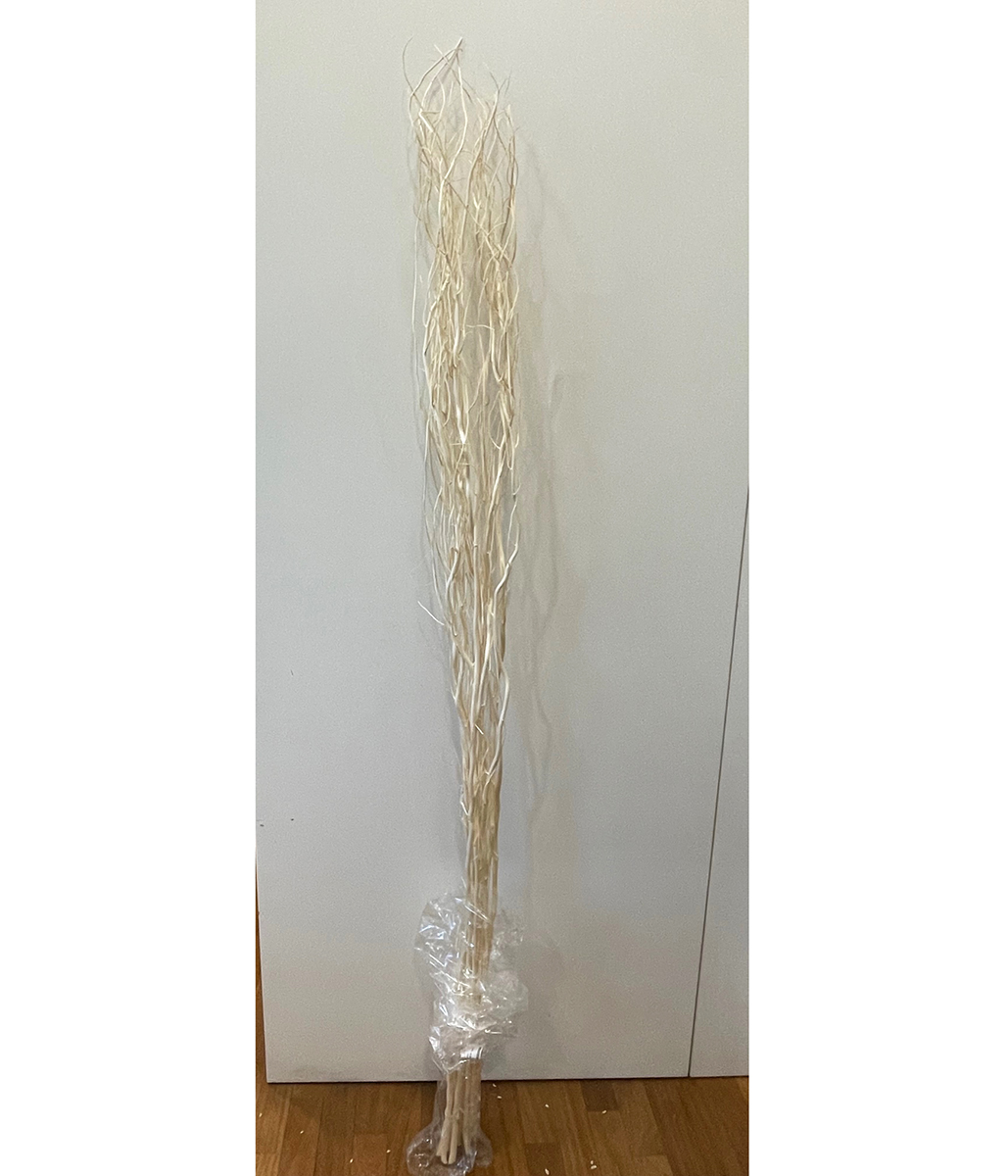SALIX H180CM. 10PZ. BIANCO