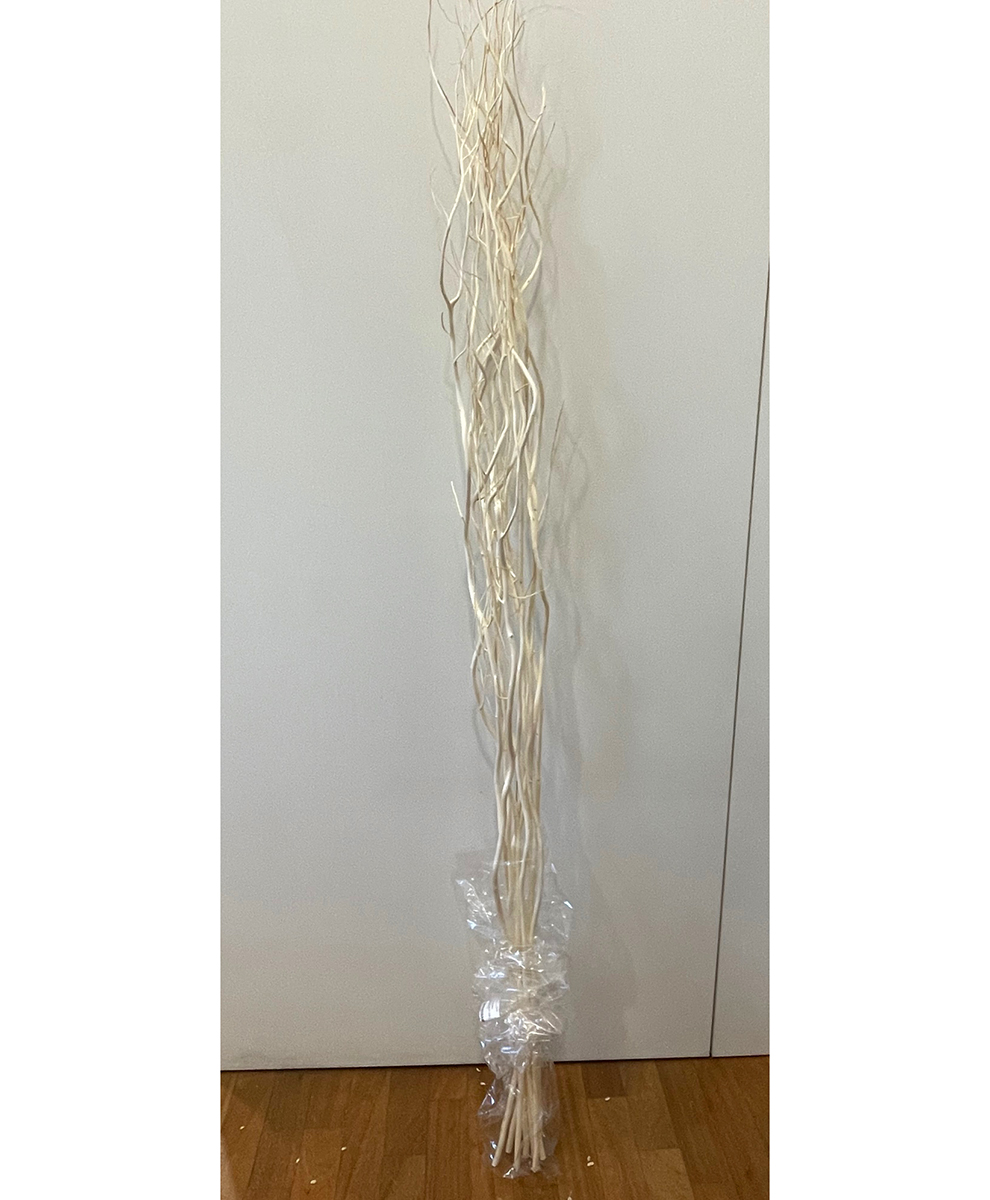 SALIX H150CM. 10PZ. SBIANCATO