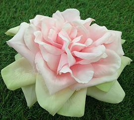 ROSA TEA GALLEG. 17CM.PINK