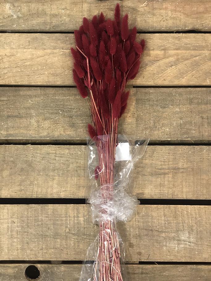 LAGURUS 100GR. BORDO