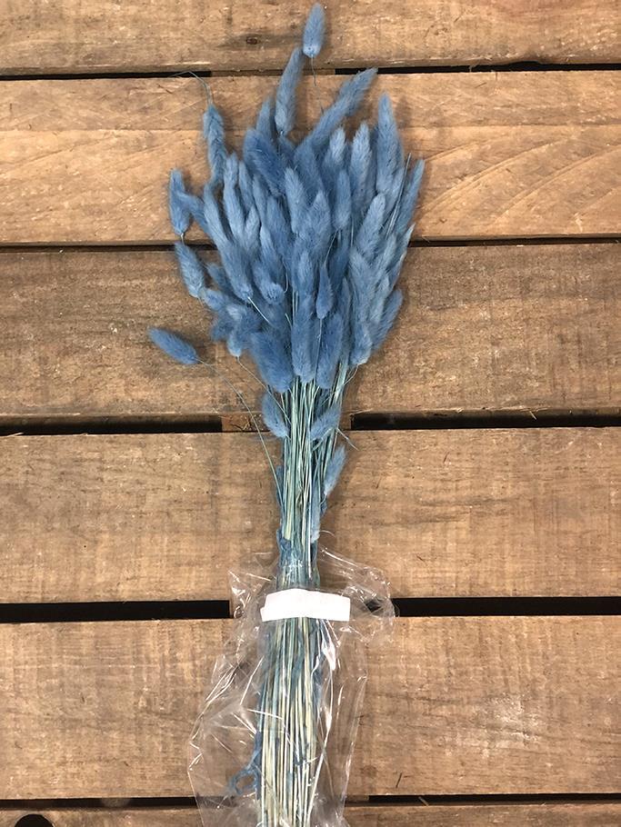 LAGURUS 100GR. CELESTE