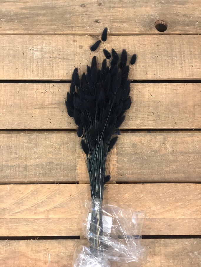 LAGURUS 100GR. NERO